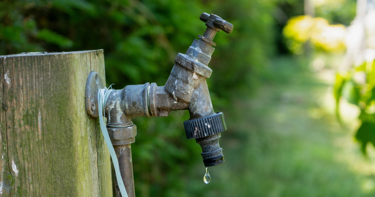 Water Shortage Heatwave Germany