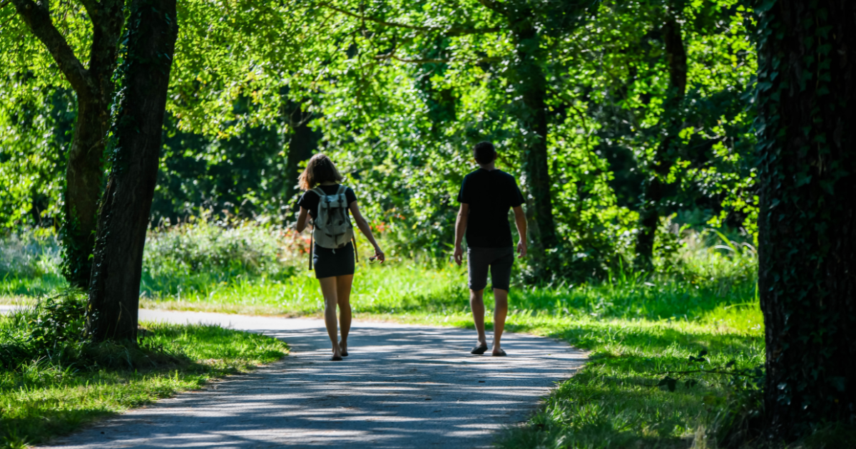 Forest Stop Utrecht