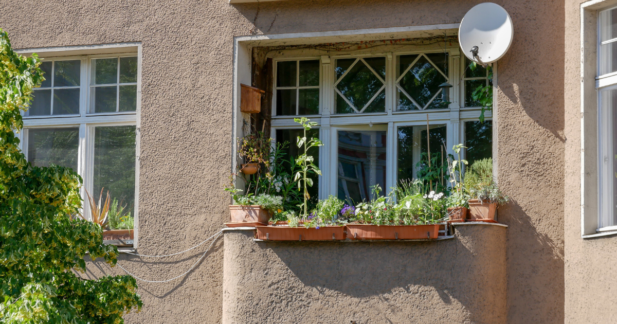 Flower Pot Manslaughter Berlin