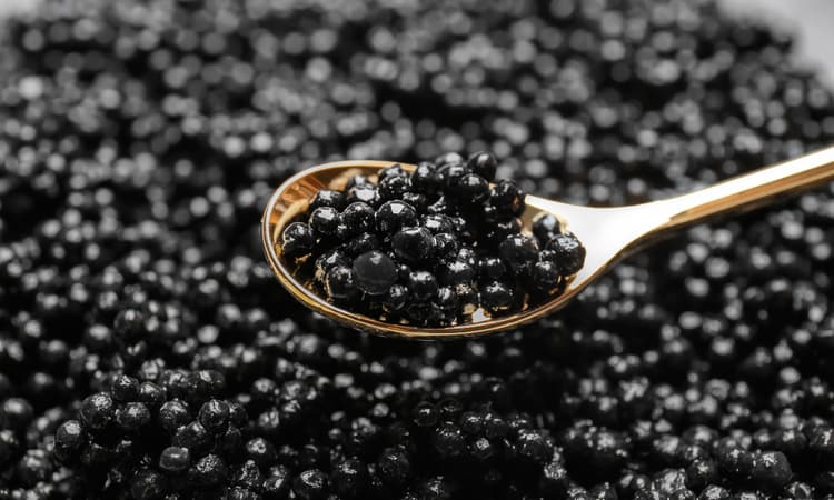 Billionaire fined for smuggling a kilo of caviar through Zurich Airport