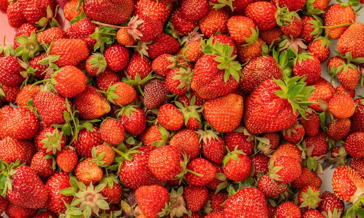 Strawberries can feel and remember stress, official Swiss study reveals