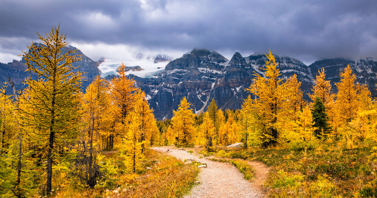 Autumn Hike in Switzerland 