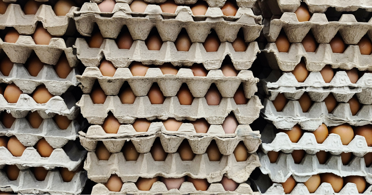 May 2026: 8 things affecting expats in Switzerland