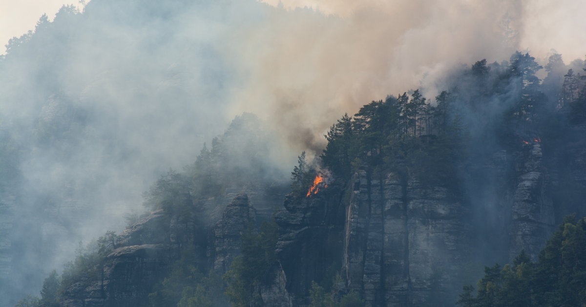 Wildfire Extreme Weather Germany