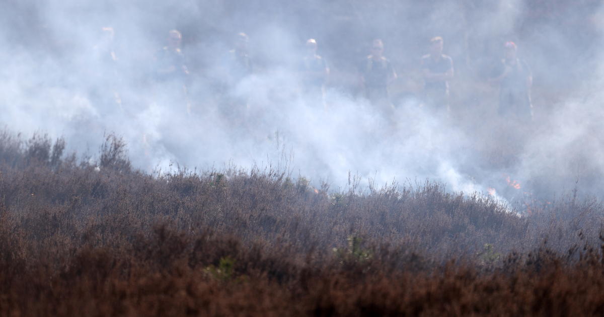 Wildfire Limburg
