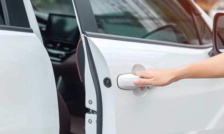 Basel police nearly lose suspect after being locked in Tesla