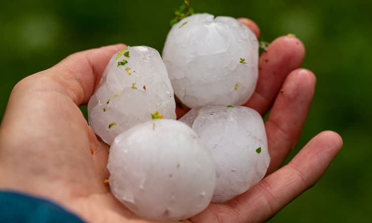 Swiss university offers prizes to those who find the biggest hailstones