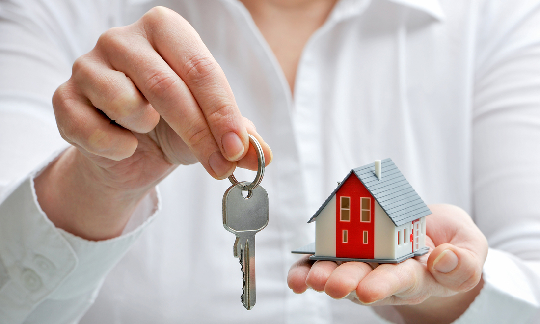 Rental agencies