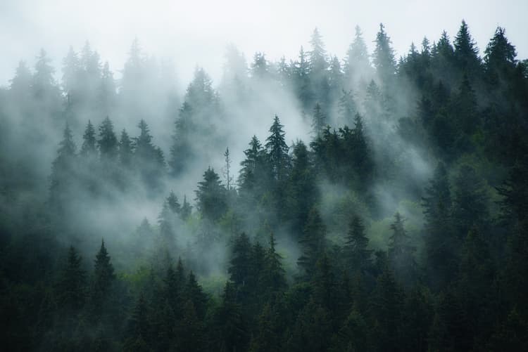 6 scariest ghost stories from Switzerland