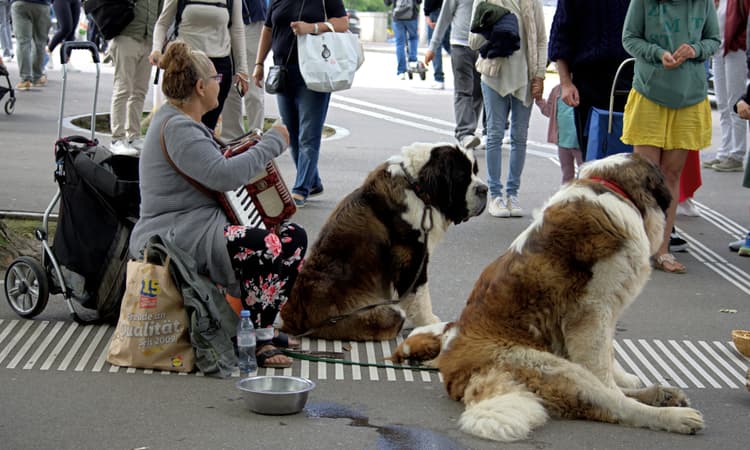 Number of people at risk of poverty in Switzerland hits 10-year high