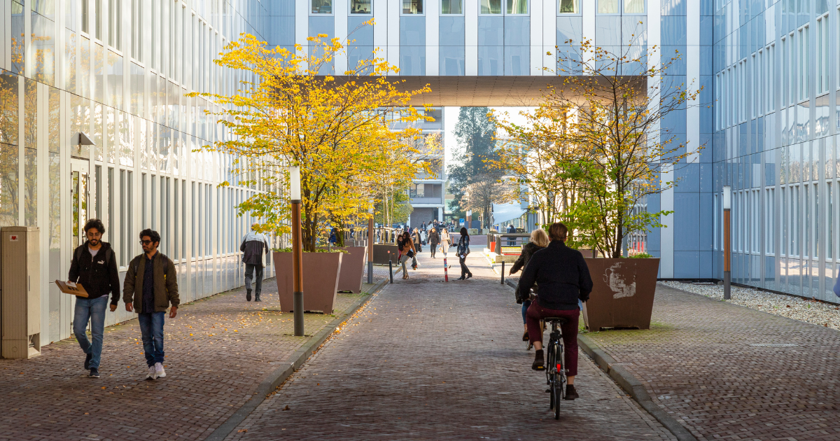 International Graduates Dutch Companies
