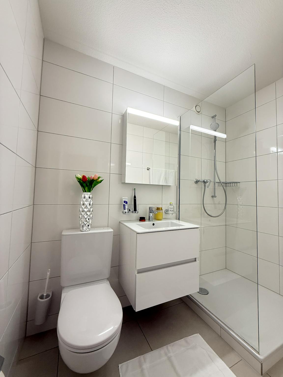 Apartment, Sankt Gallerstrasse, Rorschach