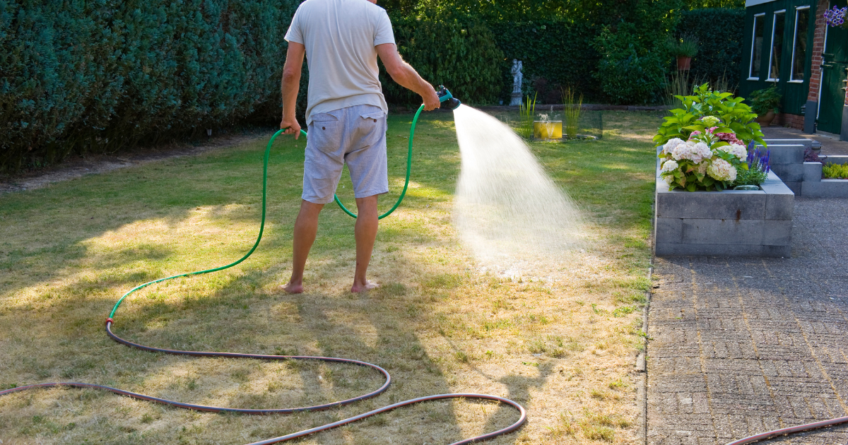 Watering Ban