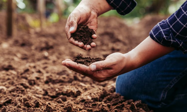 Zurich compost inspections named Switzerland's silliest law for 2024