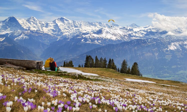 Switzerland sees warmest February since records began