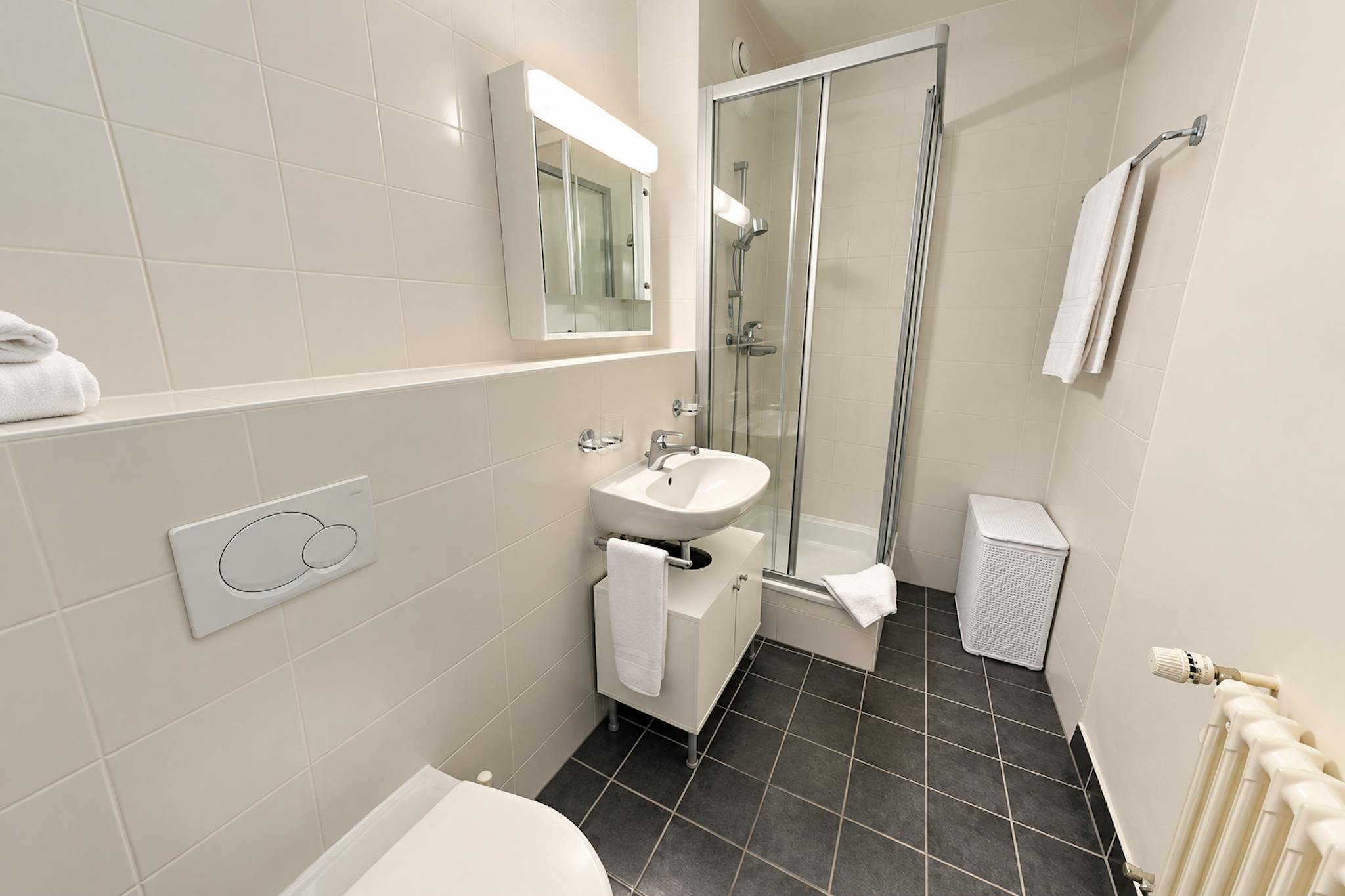 Apartment, Rue Goetz-Monin, Geneva
