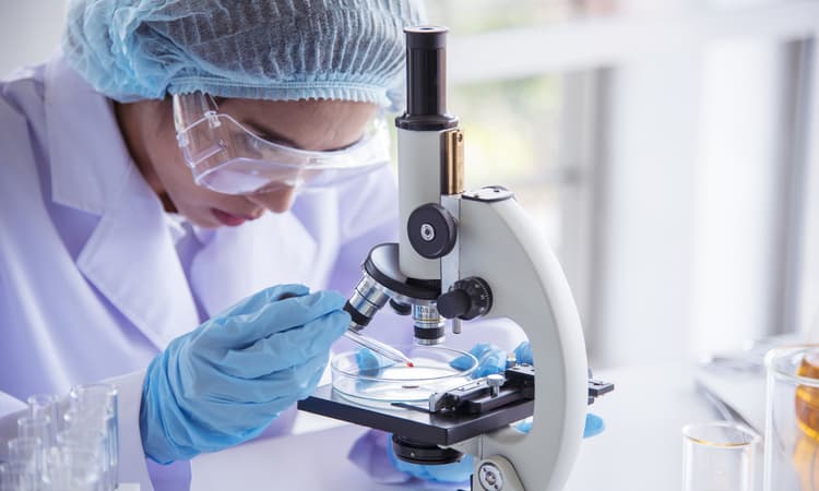 Hive of innovation: Switzerland files the most patents per capita in the world