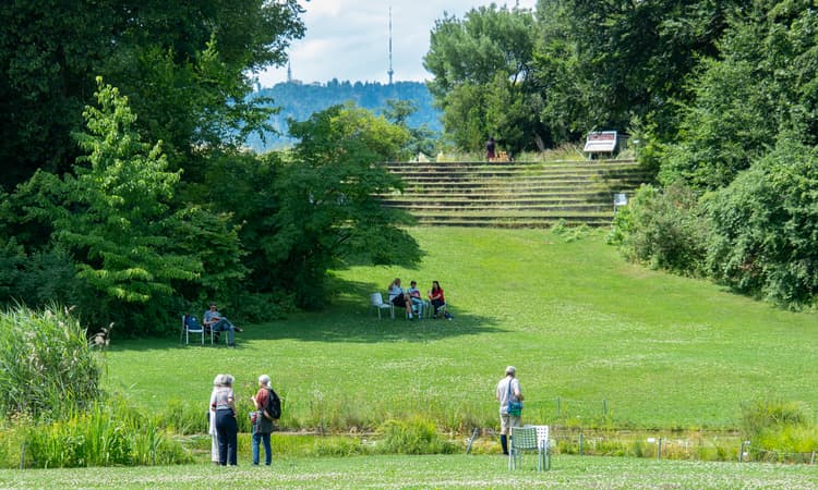 Swiss cities found to have more forests than houses