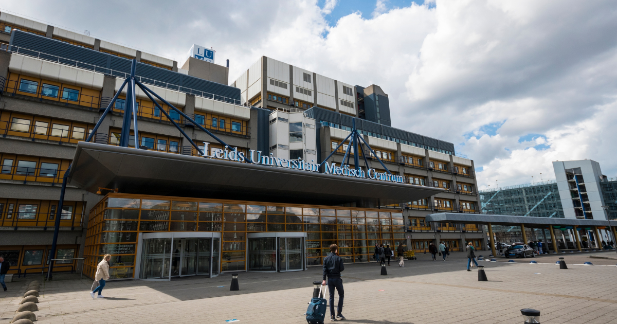 Diabetes Cure Dutch Researchers