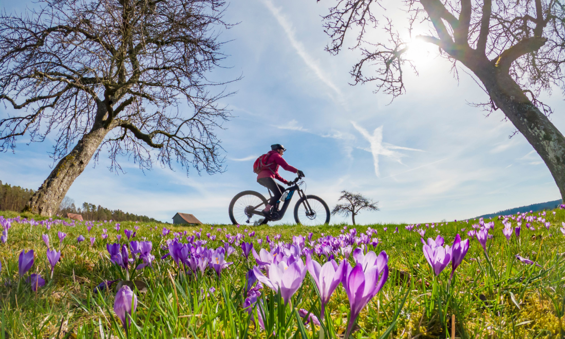 Spring sunshine in Germany