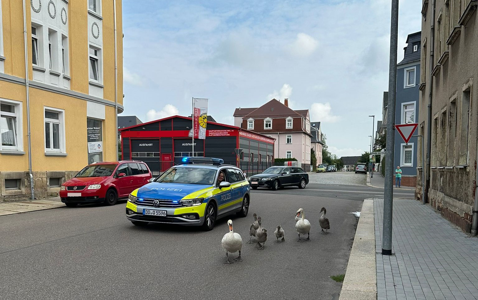 German police following swan family in Saxony