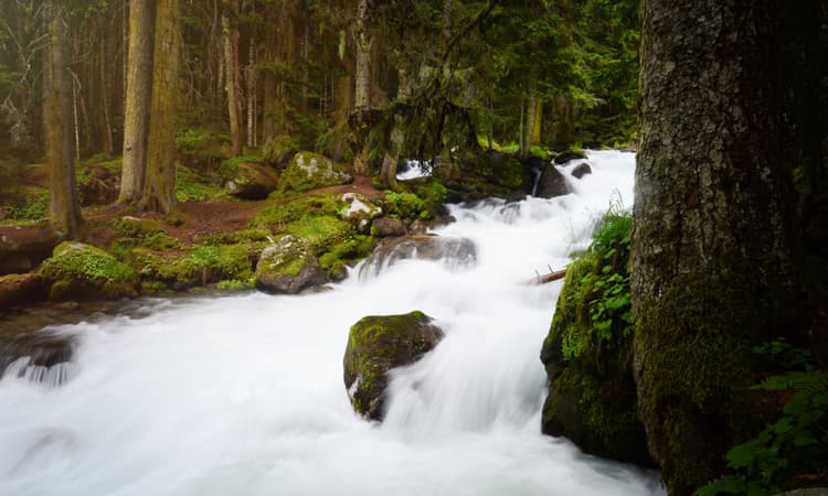 Swiss police investigate milky river in Zug