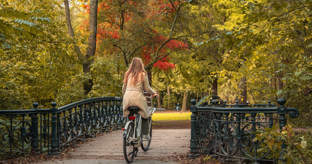 5 essential Dutch autumn weather phrases every expat should know