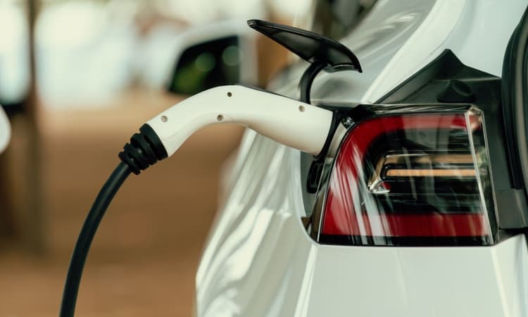 Electric car sales slump in Switzerland