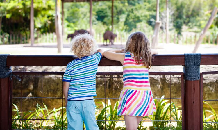 First-ever kindergarten in a zoo opens in Switzerland