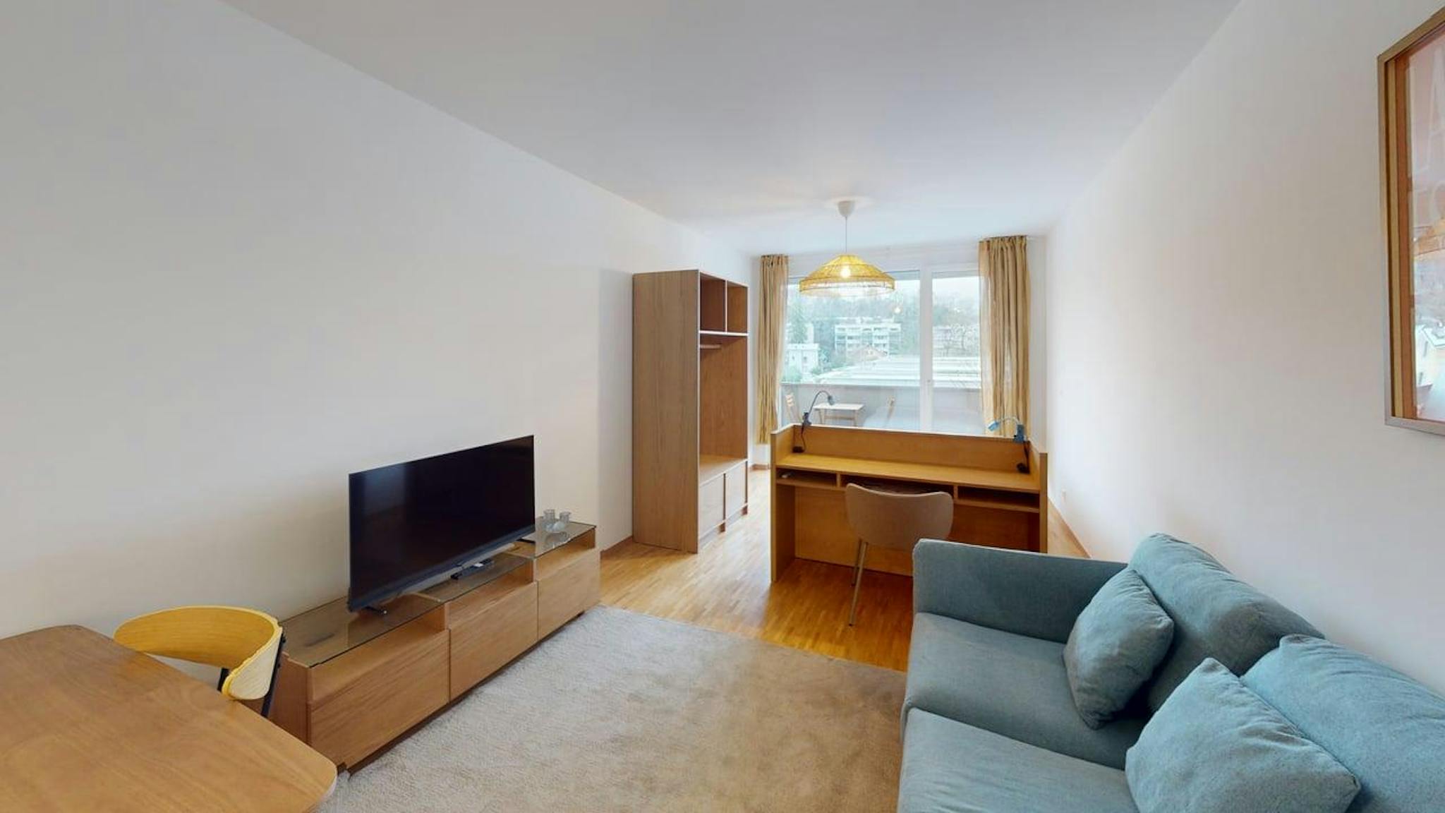 Apartment, Avenue de la Croisette, Geneva