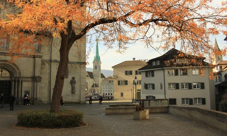 84 skeletons discovered 50cm beneath the pavement near Zurich Grossmünster