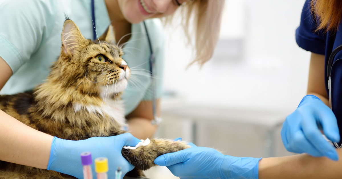 UWV reveals most promising professions in the Netherlands for 2026