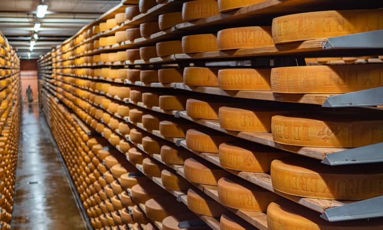 Swiss cheesemaker accused of greenwashing in climate-neutral cheese debacle