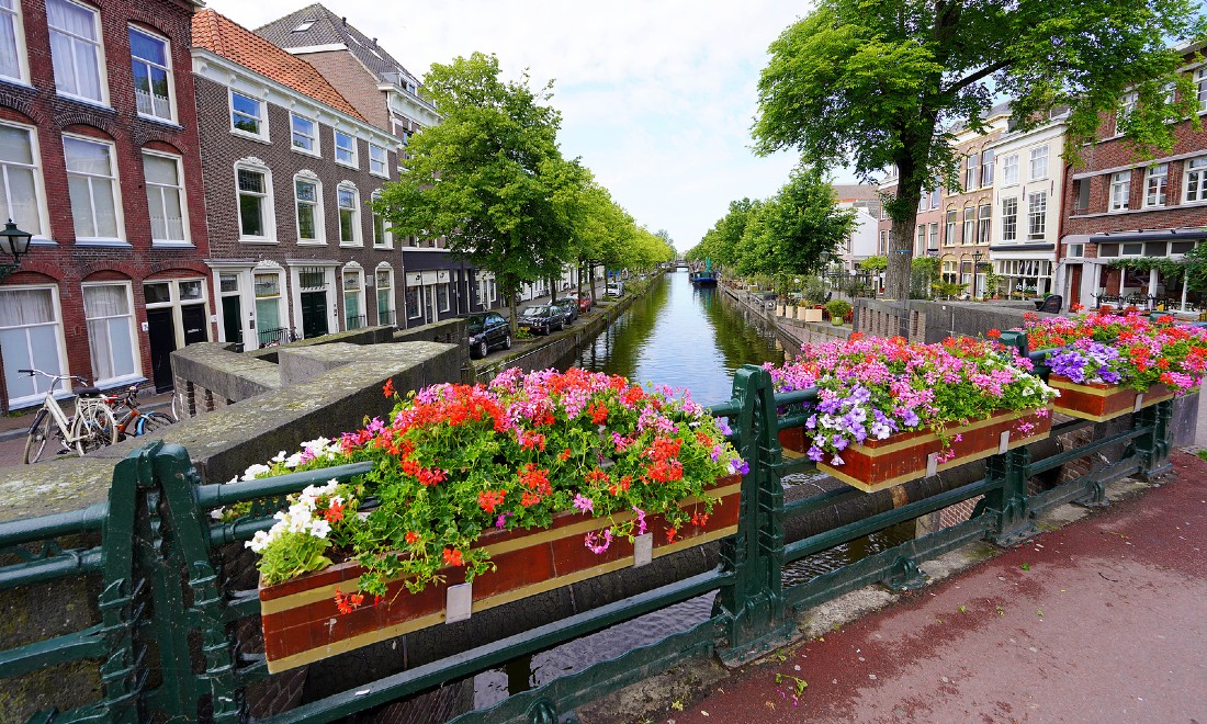 Find your dream home in Rotterdam or The Hague with WORK Makelaardij