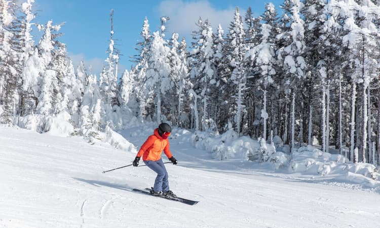 5 things expats in Switzerland need to know about in February 2022