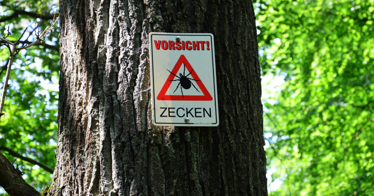 Tbe Tick Risk Zone Germany