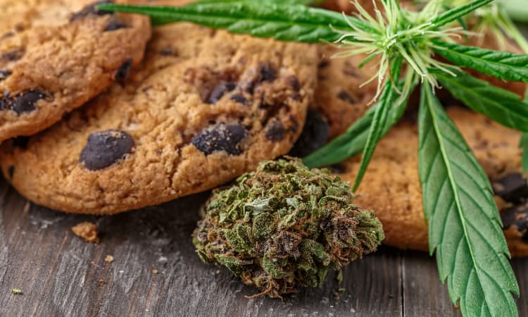 Basel to trial selling cannabis for recreational use