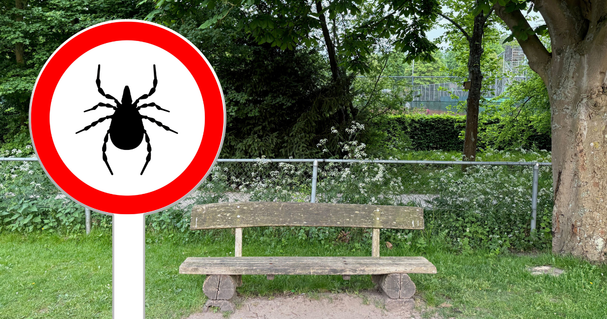 Ticks in Netherlands 2026