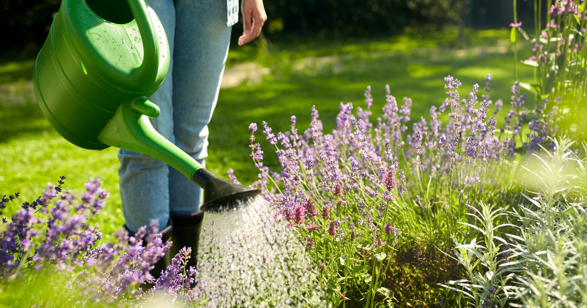 Swiss residents face 2.000-franc fine for violating drought measures 