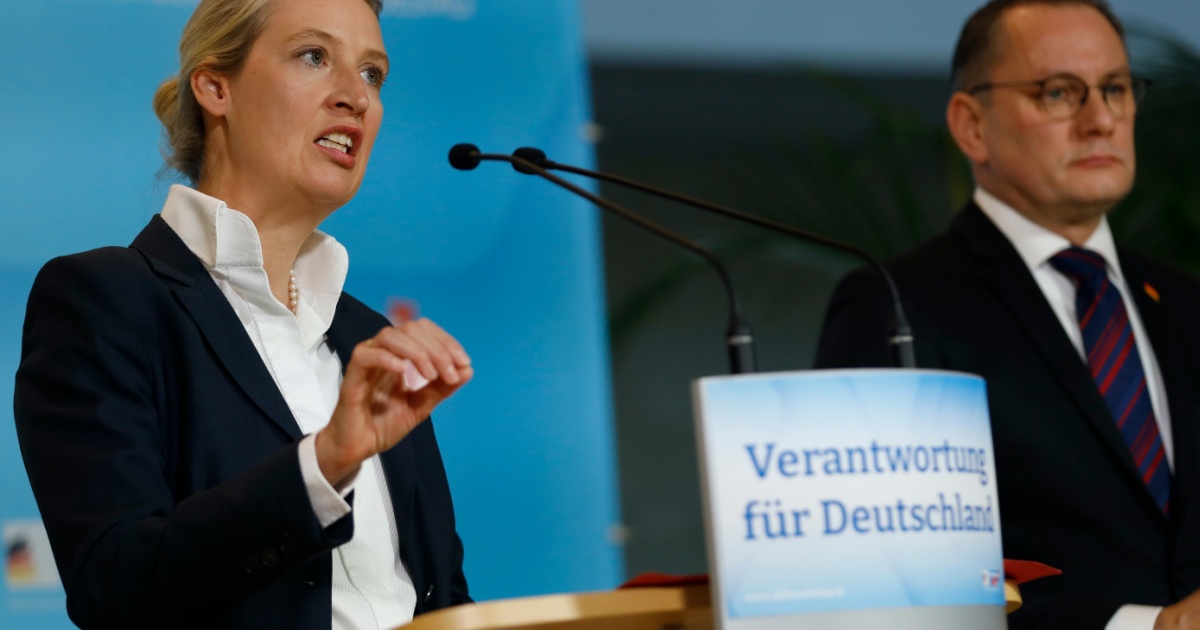 Alice Weidel Tino Chrupalla