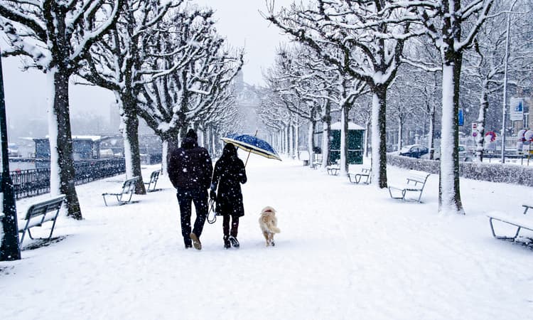 December 2024: 12 important changes expats in Switzerland need to know