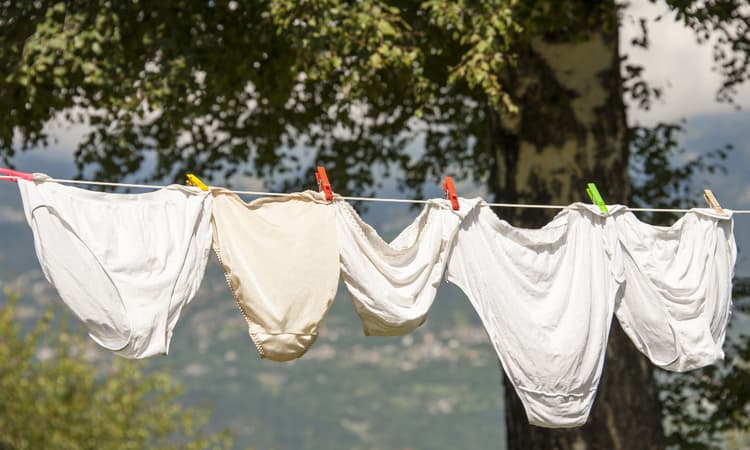 Why is the Swiss government asking people to bury underwear?